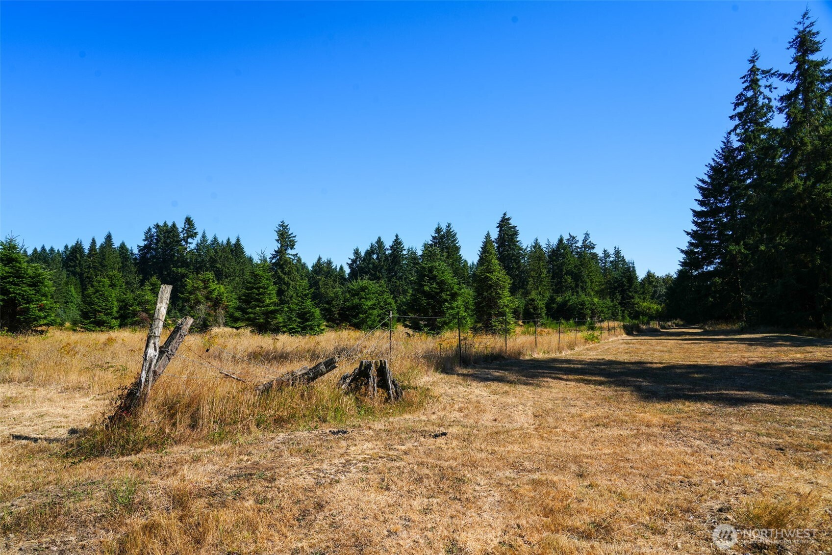 7101 115th Avenue Southwest Olympia, WA 98512 - Photo 7 of 38 a view of swimming pool with a yard and trees in the background