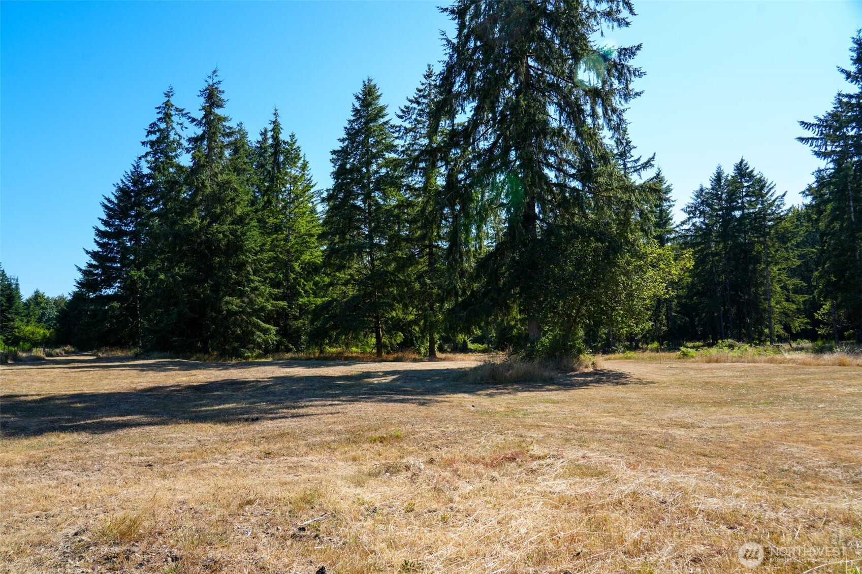 7101 115th Avenue Southwest Olympia, WA 98512 - Photo 8 of 38 a view of outdoor space with deck and yard