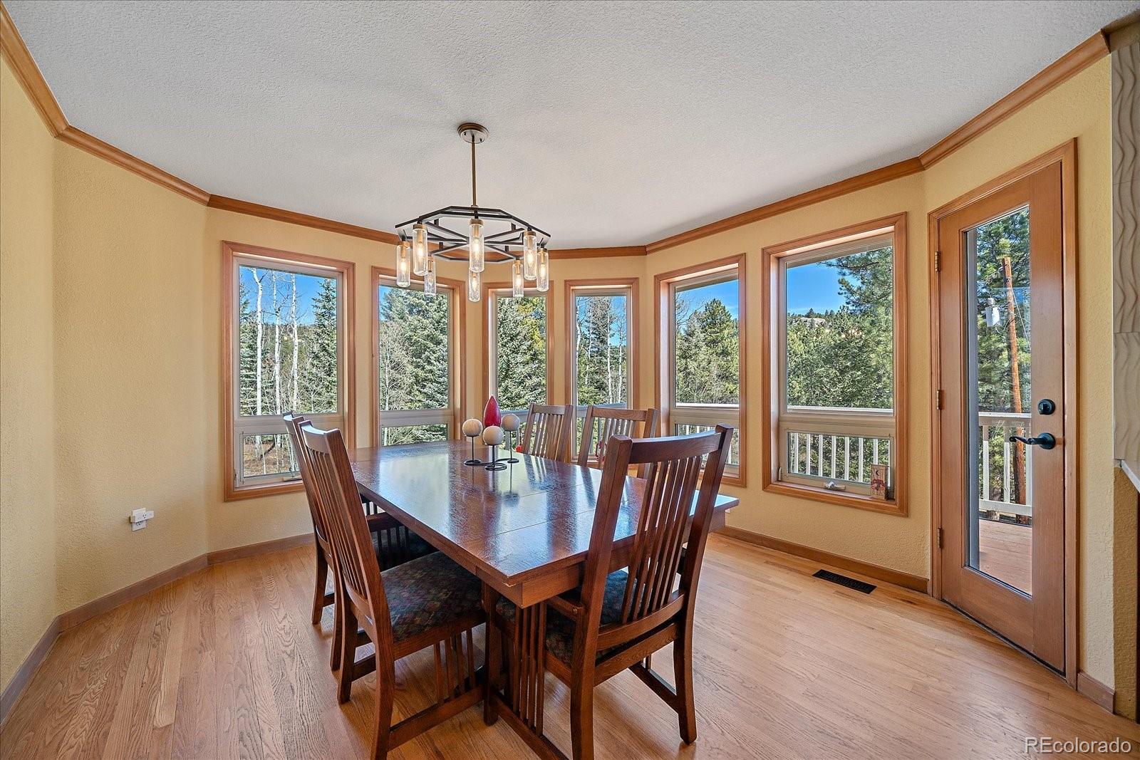 9948 South Turkey Creek Road Conifer, CO 80433 - Photo 18 of 50