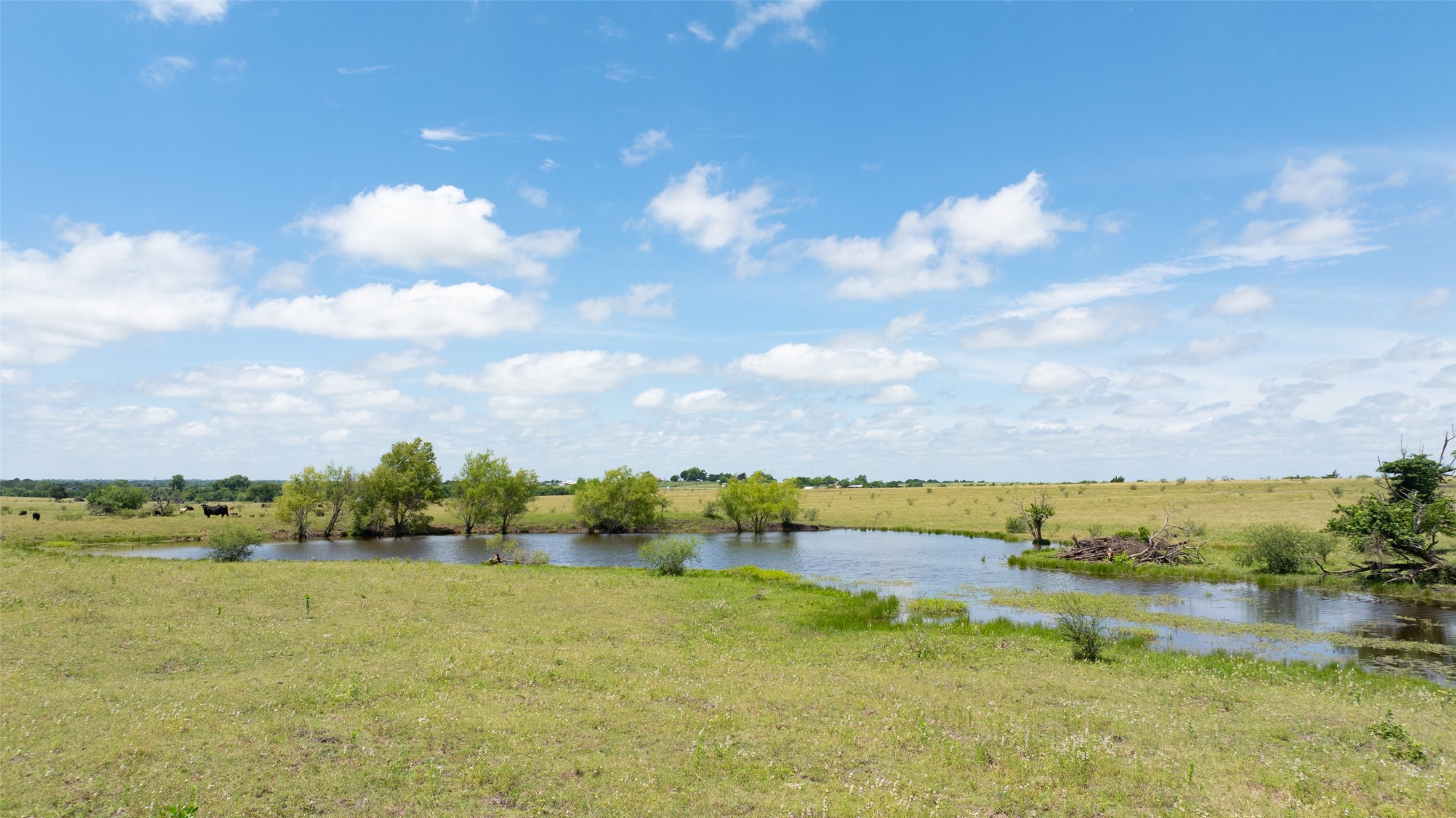 5661 Chadwick-Hogan Road Chappell Hill, TX 77426 - Photo 2 of 22
