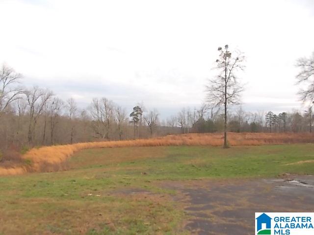 3601 Mt Olive Road Mount Olive, AL 35117 - Photo 18 of 19