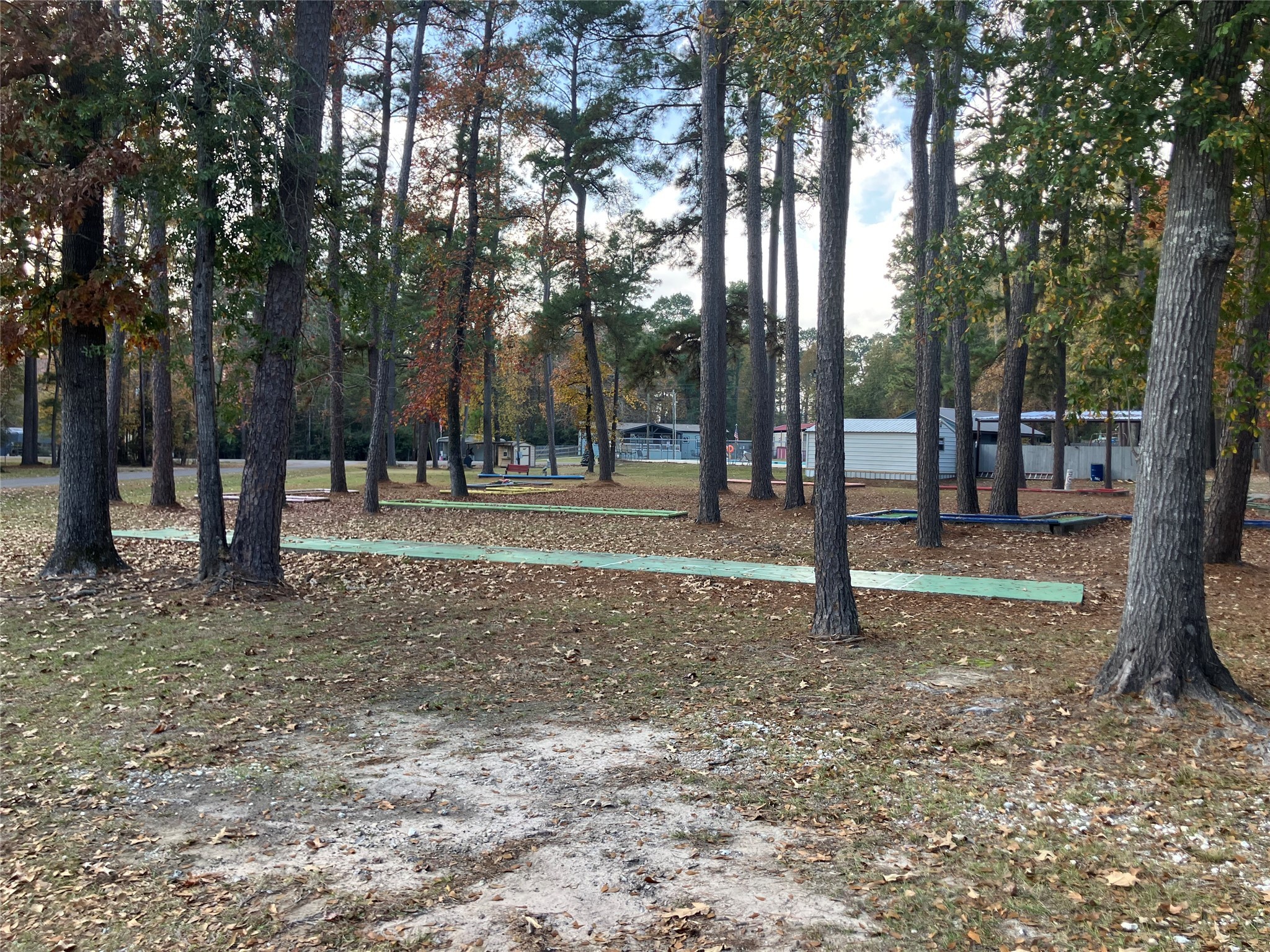 242 Elm Trail Trinity, TX 75862 - Photo 20 of 23 Put Put Golf by the Poolside