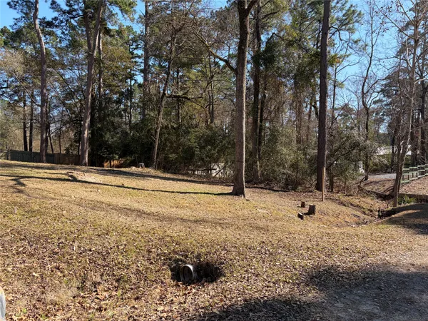 a view of yard covered with snow