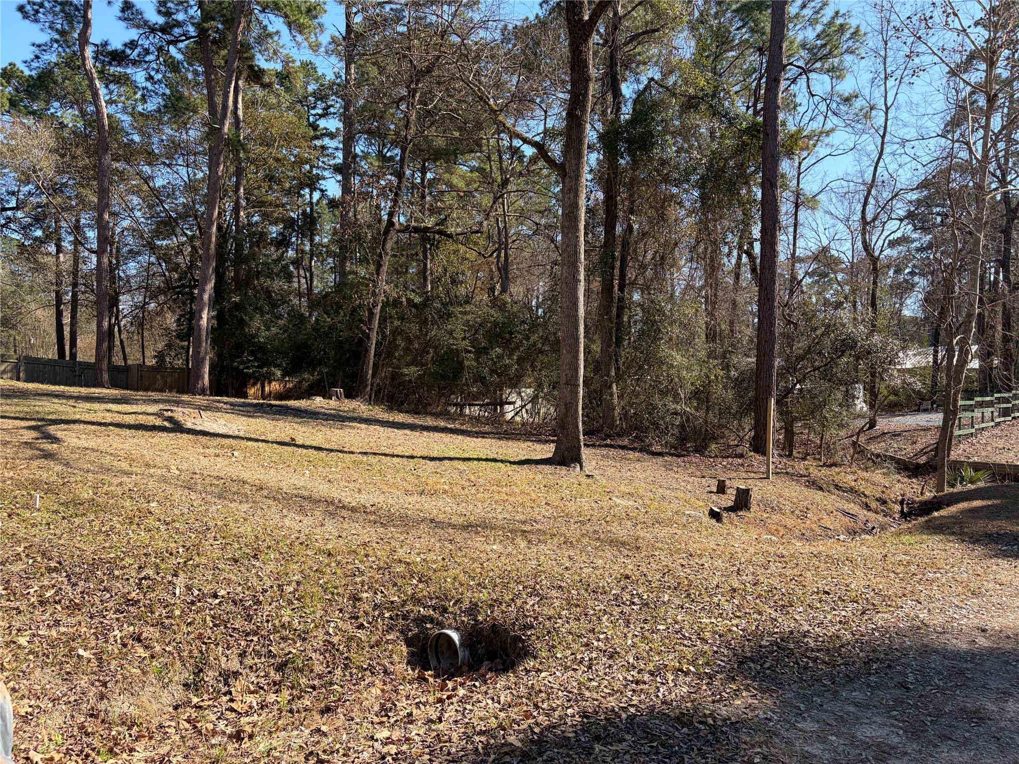 242 Elm Trail Trinity, TX 75862 - Photo 2 of 28 a view of outdoor space with trees