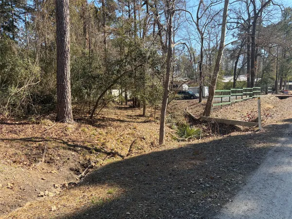 a view of a park that has large trees
