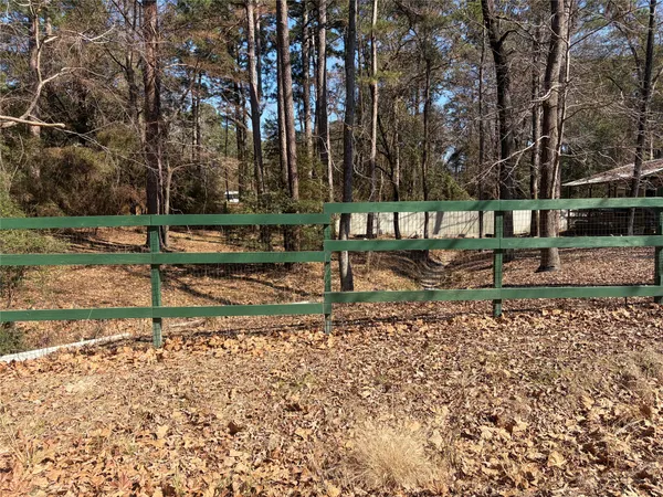 a view of a yard with large trees