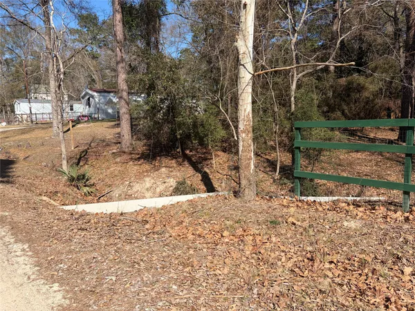 a view of a yard with trees