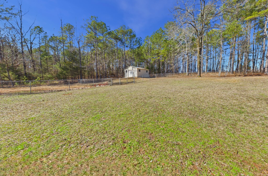 2894 McKee Road Upatoi, GA 31829 - Photo 49 of 60 Back yard