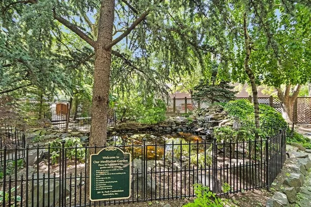 a view of a yard with plants and trees