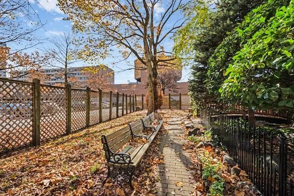 a view of a pathway of a tree