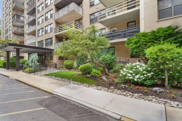 a view of a park with large trees
