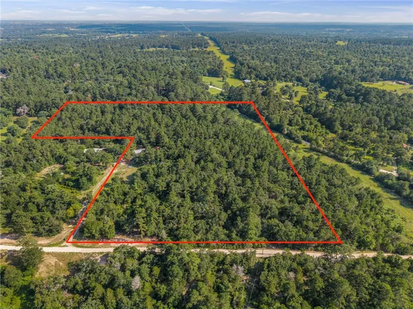 $350,000 | 1885 Double Price Lane, Bedias, TX 77831