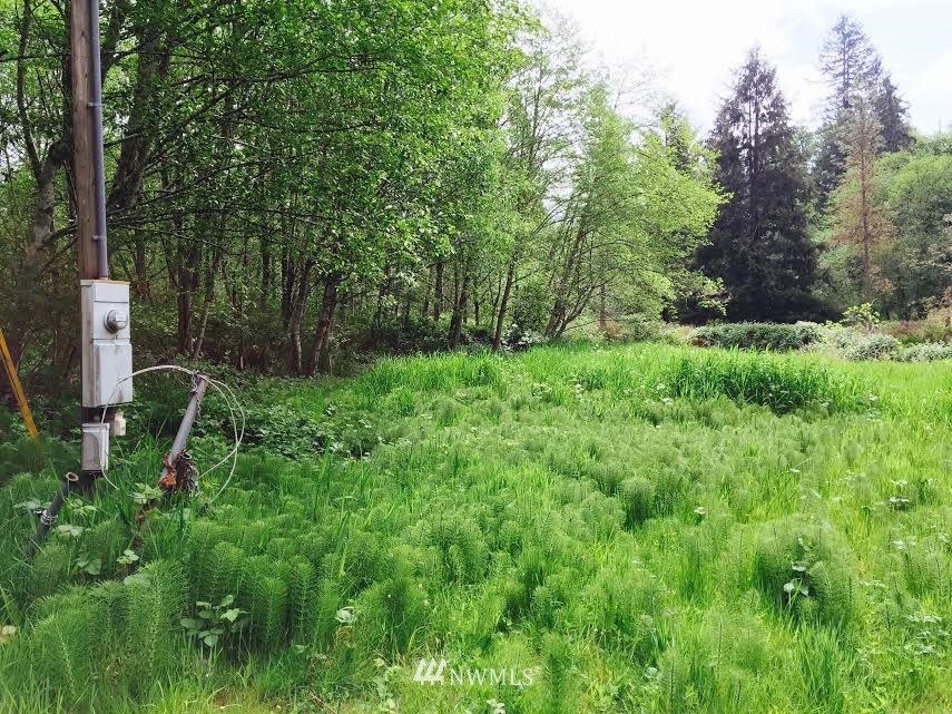 0 Short Way Sedro-Woolley, WA 98284 - Photo 2 of 4 Gallery Image 2
