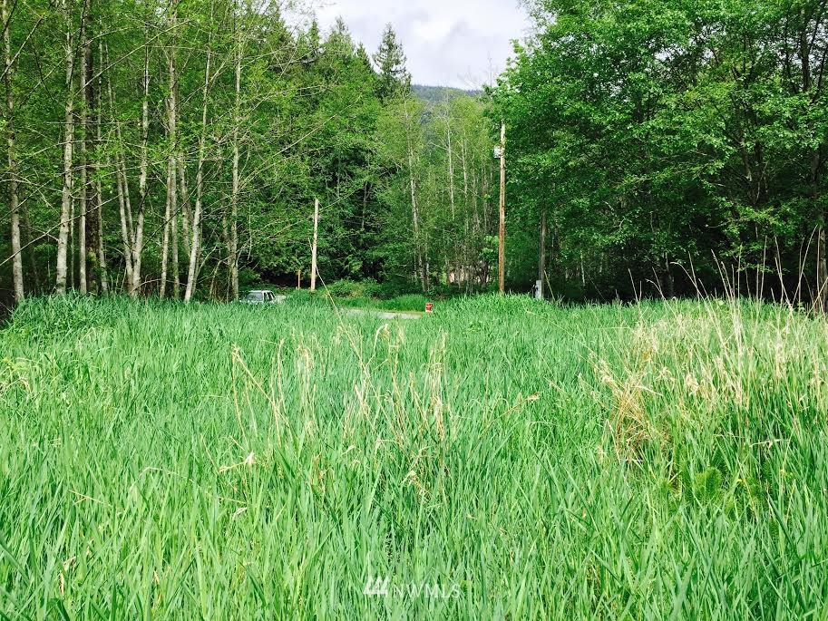 0 Short Way Sedro-Woolley, WA 98284 - Photo 3 of 4 Gallery Image 3