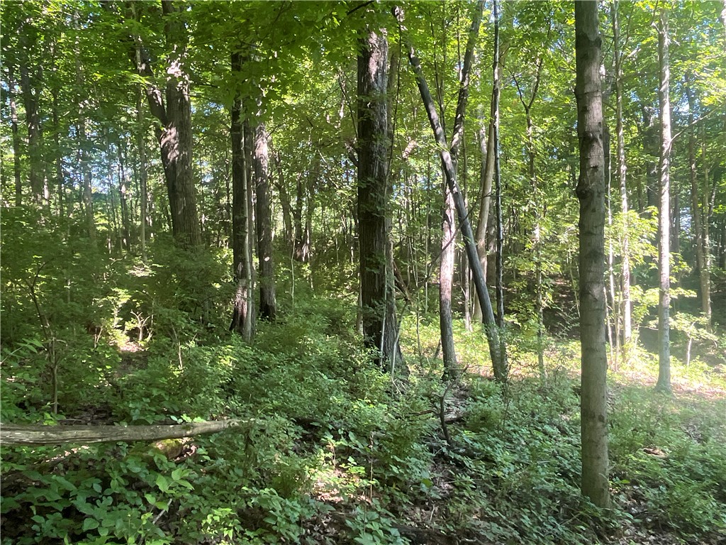 0 Stephen Young Road Camden, OH 45311 - Photo 33 of 57