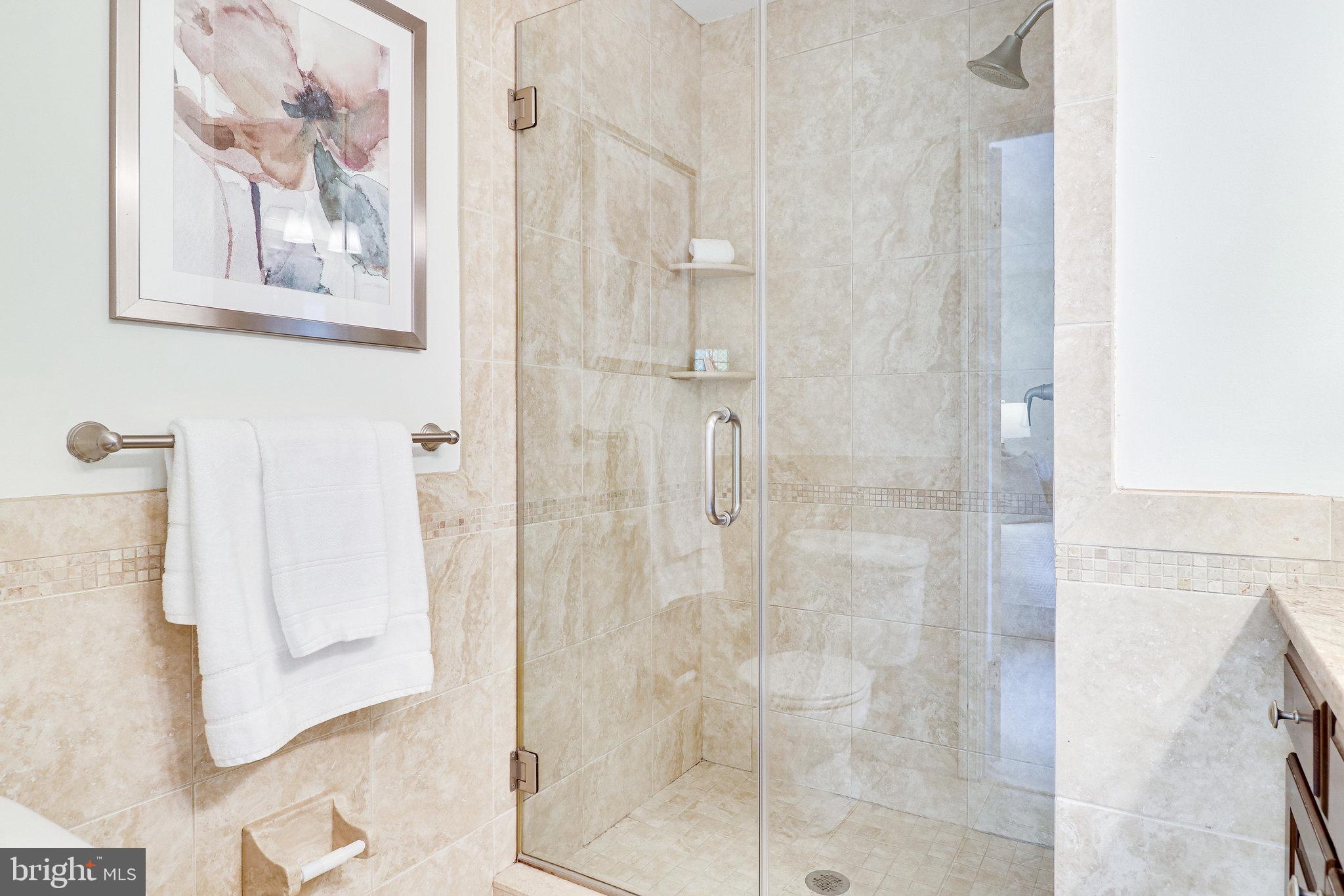 6951 Cottontail Court Springfield, VA 22153 - Photo 42 of 72 Note the custom tile