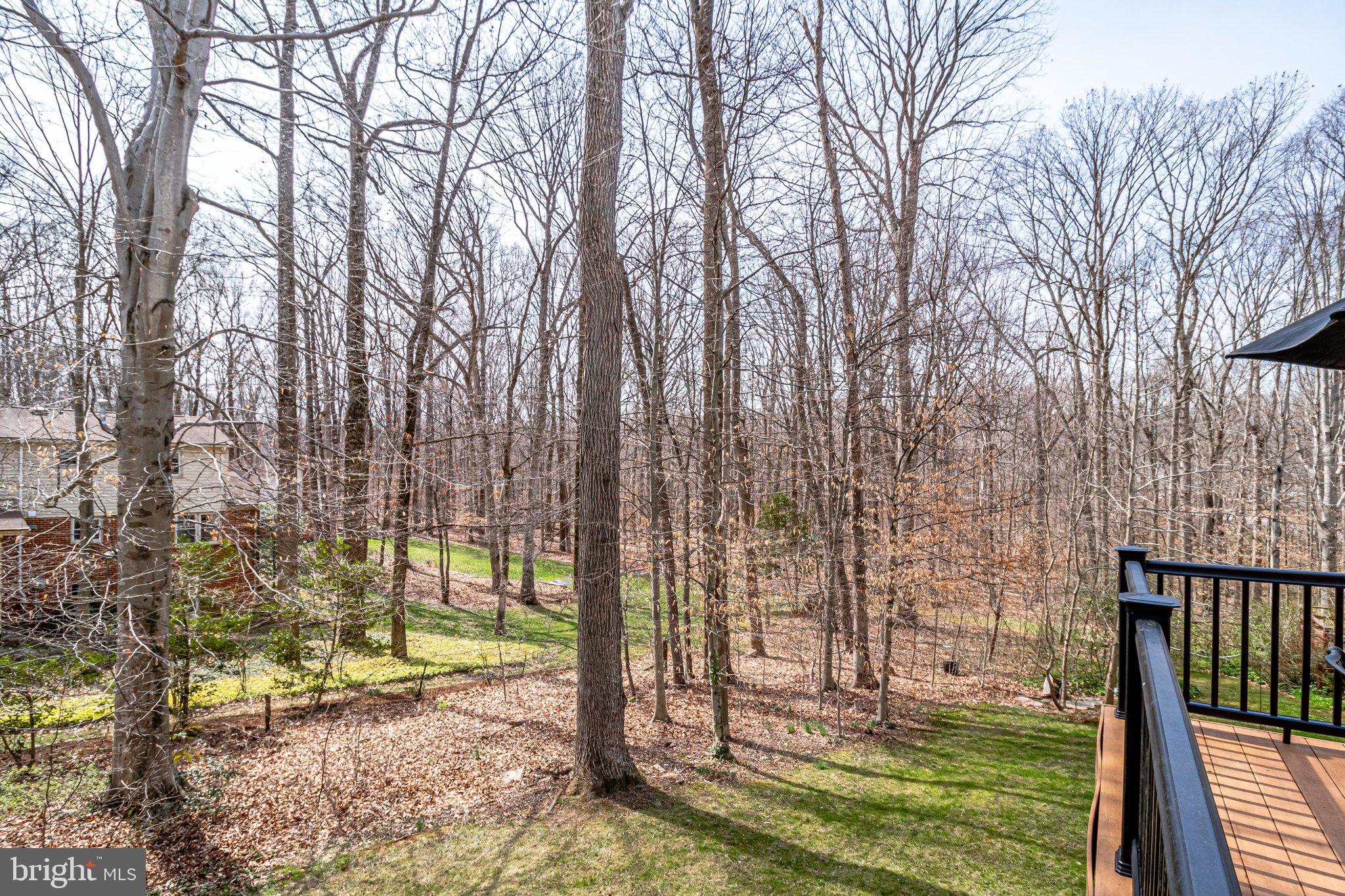 6951 Cottontail Court Springfield, VA 22153 - Photo 62 of 72 In spring & summer you can't see thru the trees