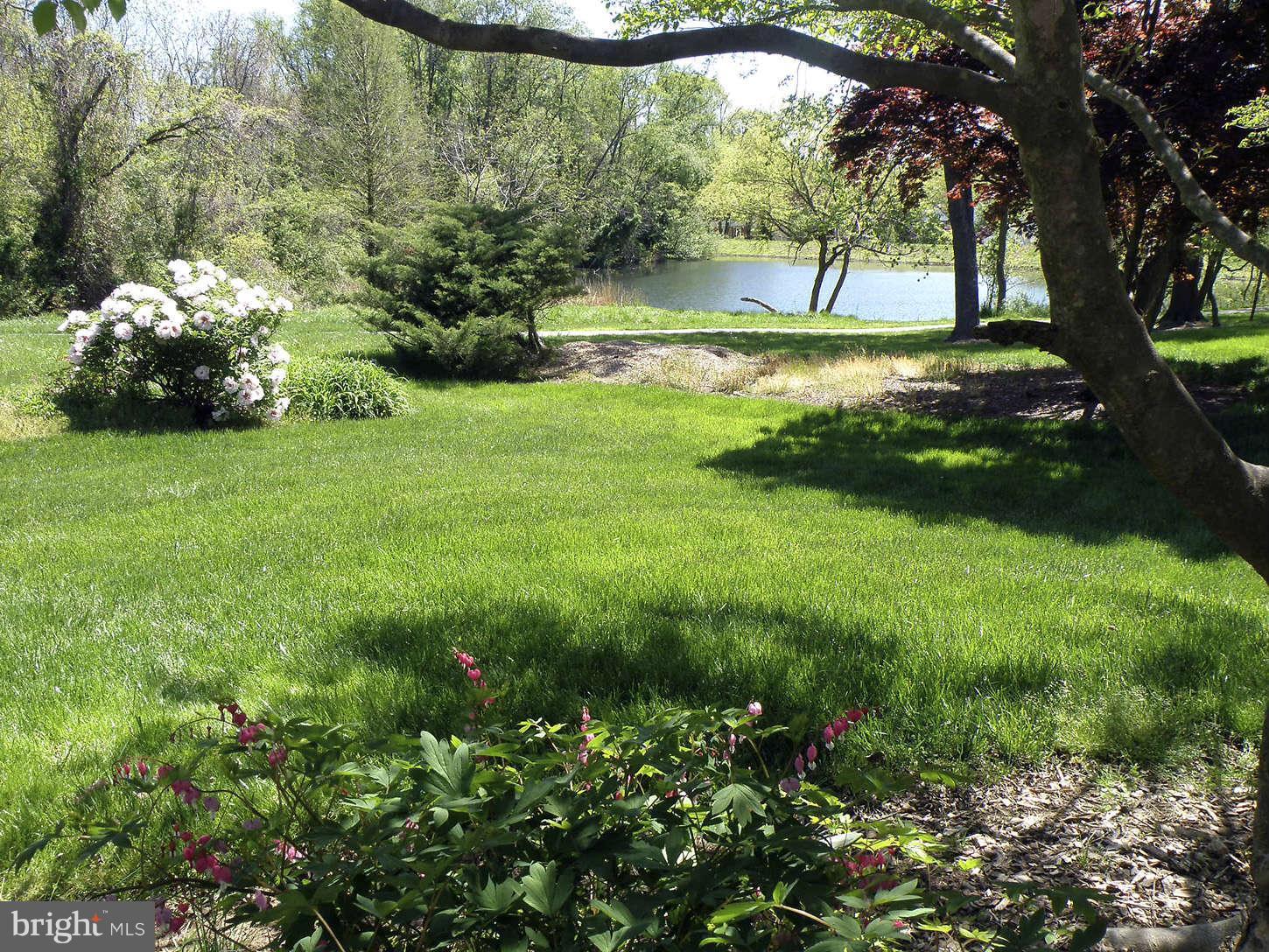 6153 Waiting Spring Columbia, MD 21045 - Photo 25 of 30 View