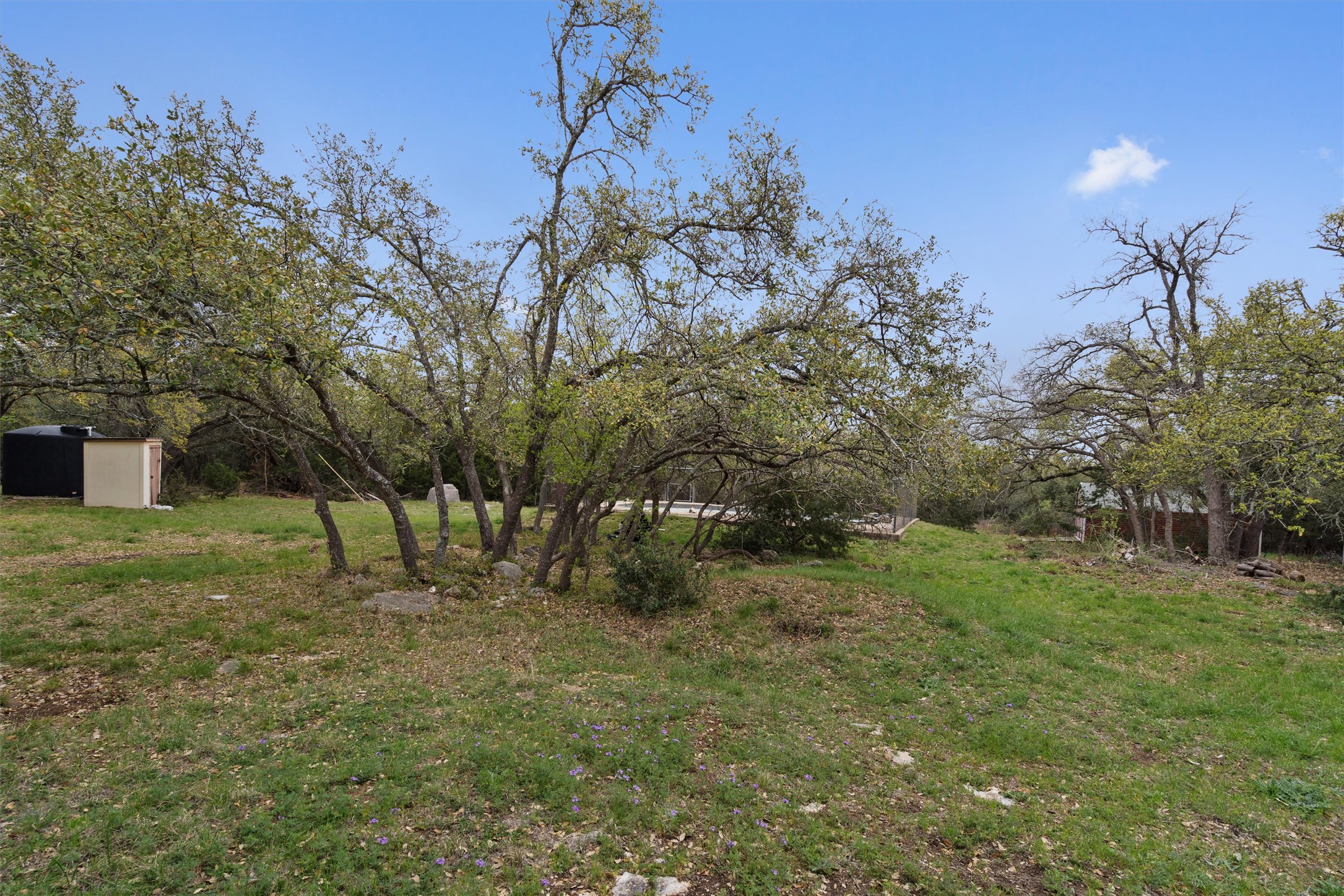 422 Patricia Road Georgetown, TX 78628 - Photo 36 of 39 a view of a field with trees