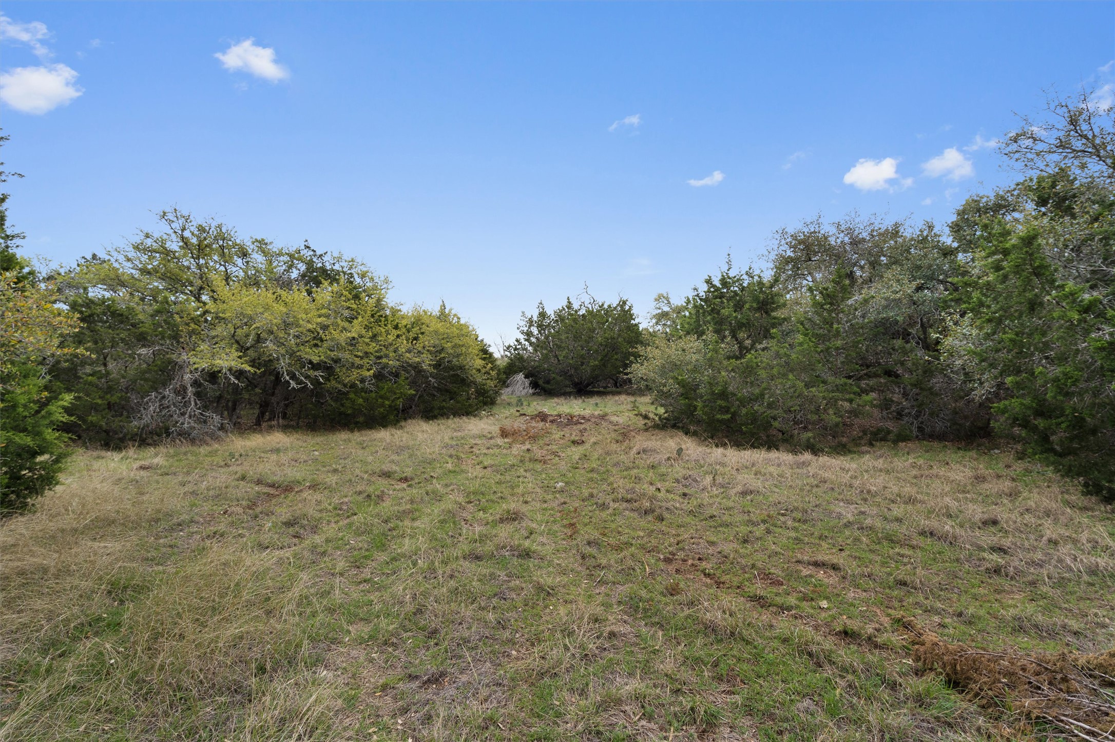 422 Patricia Road Georgetown, TX 78628 - Photo 39 of 39 a view of a field with trees in the background