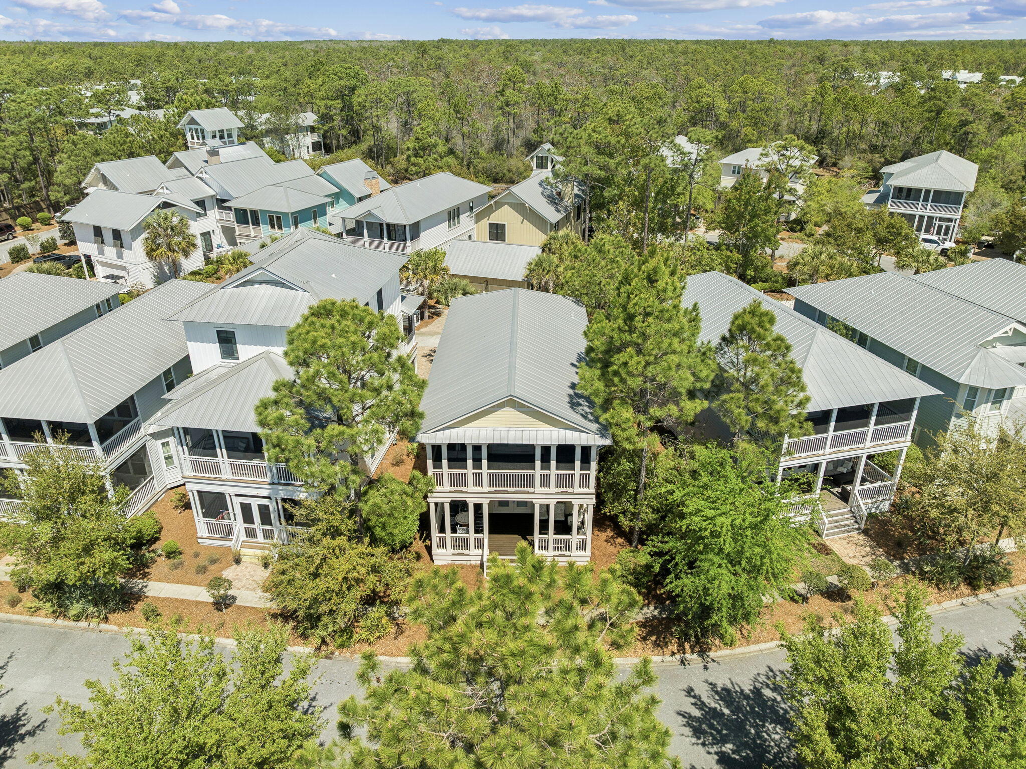 40 Cinnamon Fern Lane Santa Rosa Beach, FL 32459 - Photo 64 of 64 Array_40CinnamonFernLane-19