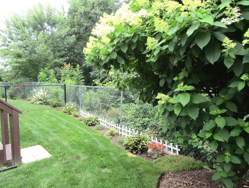 21 Honeysuckle Road Worcester, MA 01607 - Photo 36 of 38 a view of a garden with a lake