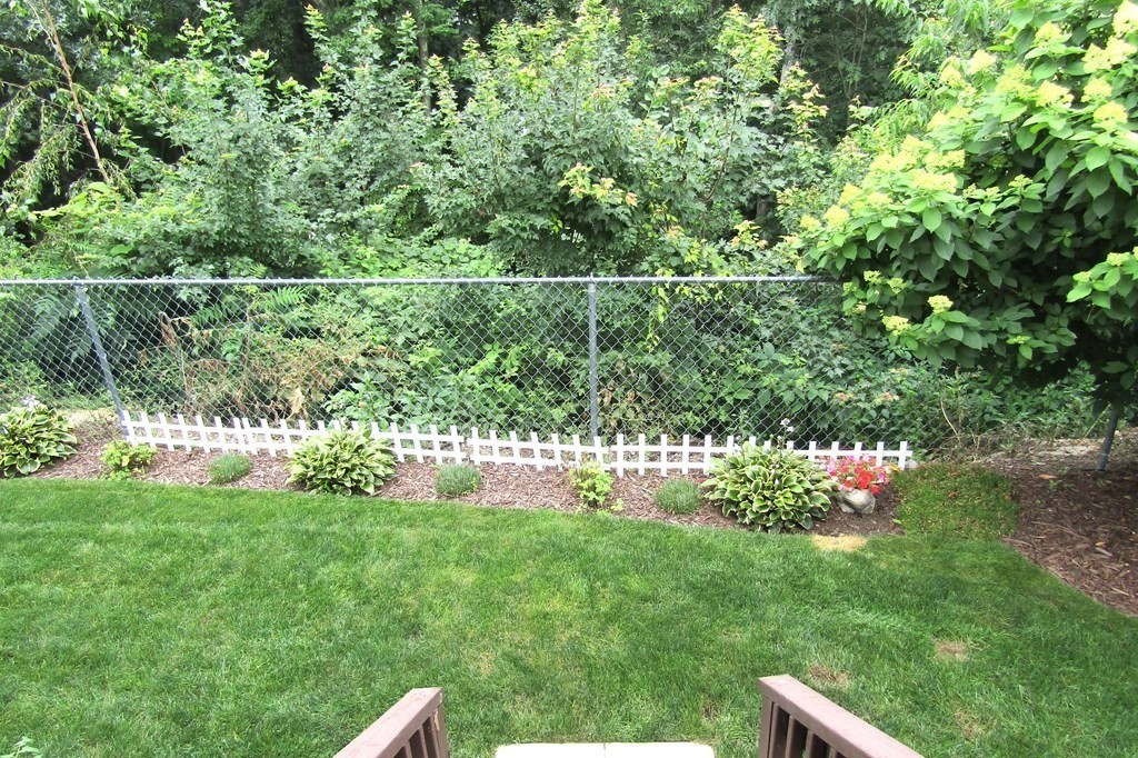 21 Honeysuckle Road Worcester, MA 01607 - Photo 37 of 38 a view of a yard with a tree
