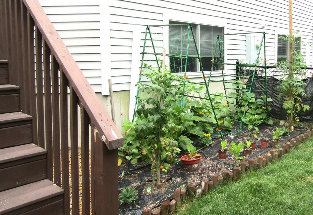 21 Honeysuckle Road Worcester, MA 01607 - Photo 5 of 38 a view of balcony with small garden