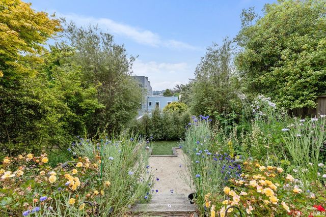 a view of a garden with pathway
