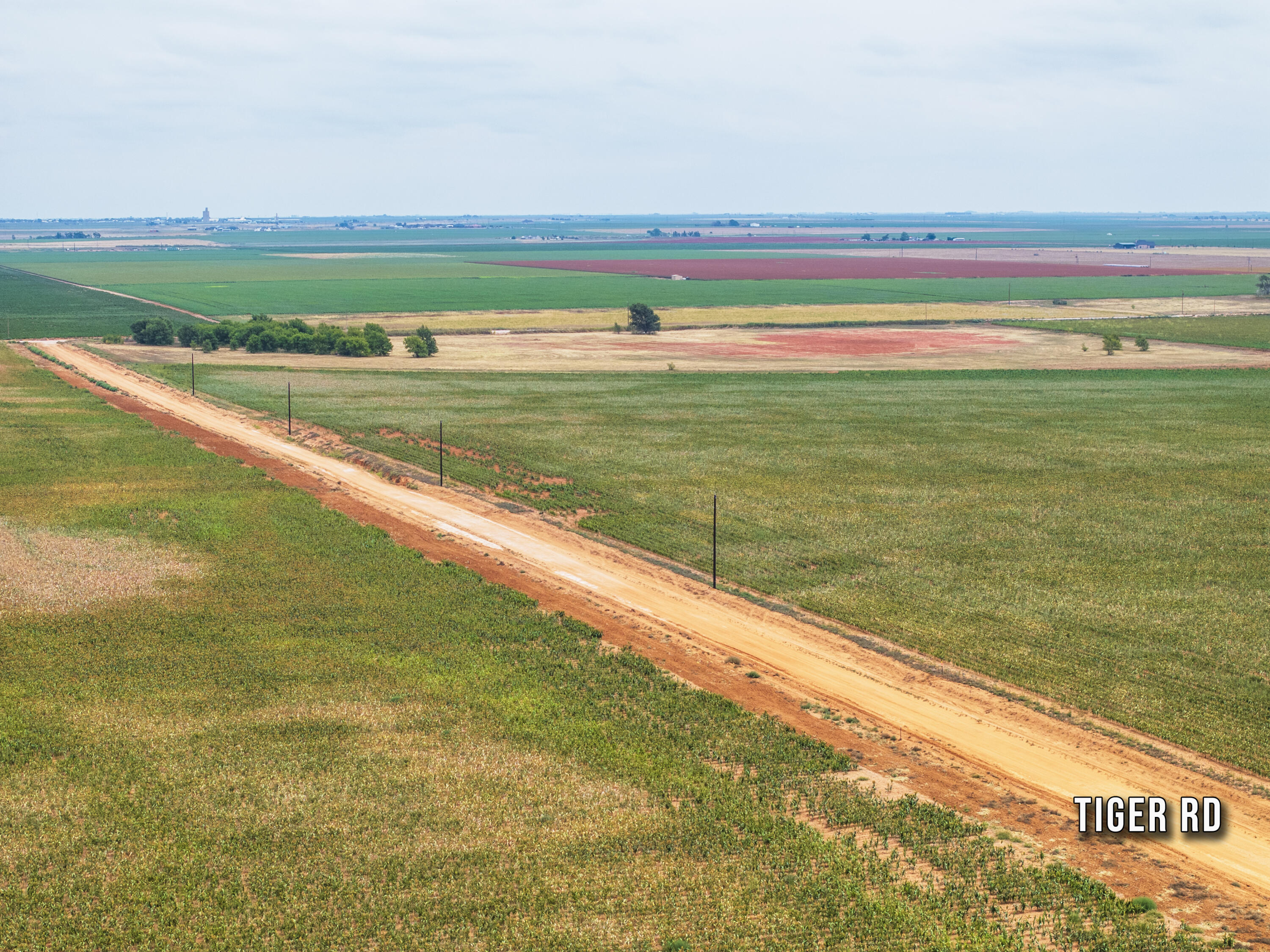 4100 Hawk Road Ropesville, TX 79358 - Photo 10 of 18 of tiger