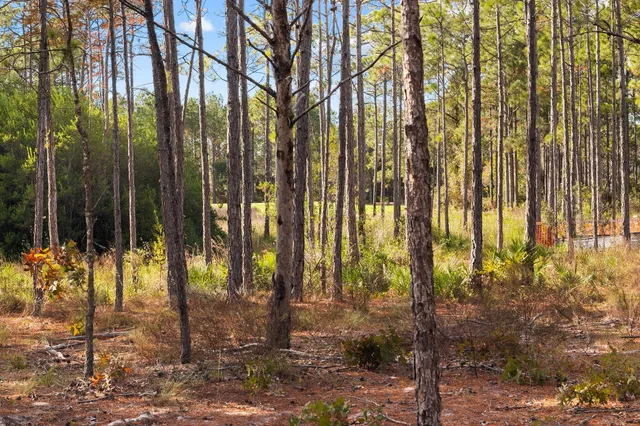 a view of outdoor space with garden