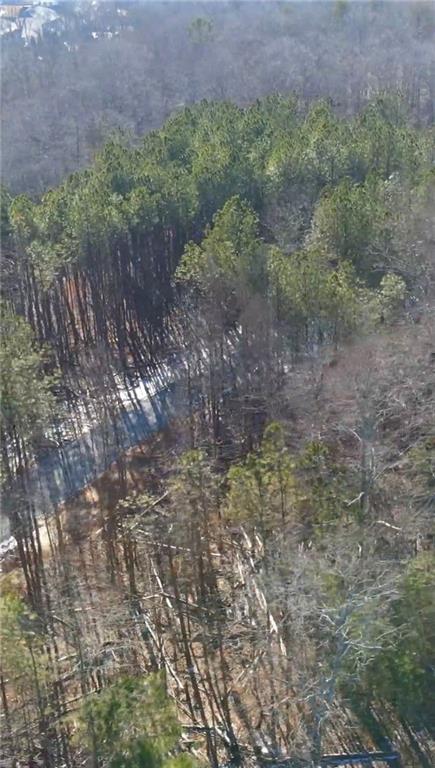 6375 Elmo Road Cumming, GA 30028 - Photo 2 of 4 a view of a yard with a tree