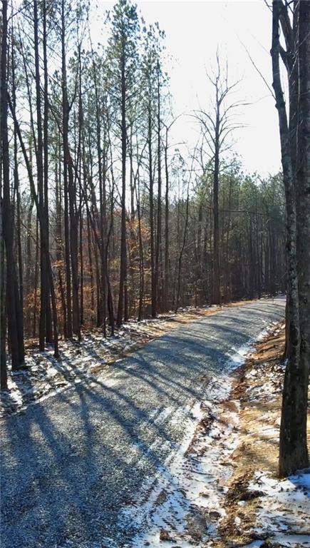 6375 Elmo Road Cumming, GA 30028 - Photo 3 of 4 a view of a yard with trees