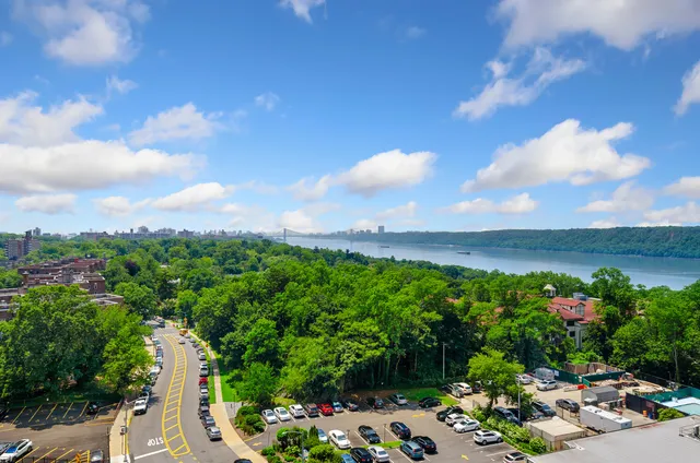 a view of a garden with a lot of flower plants and wooden fence