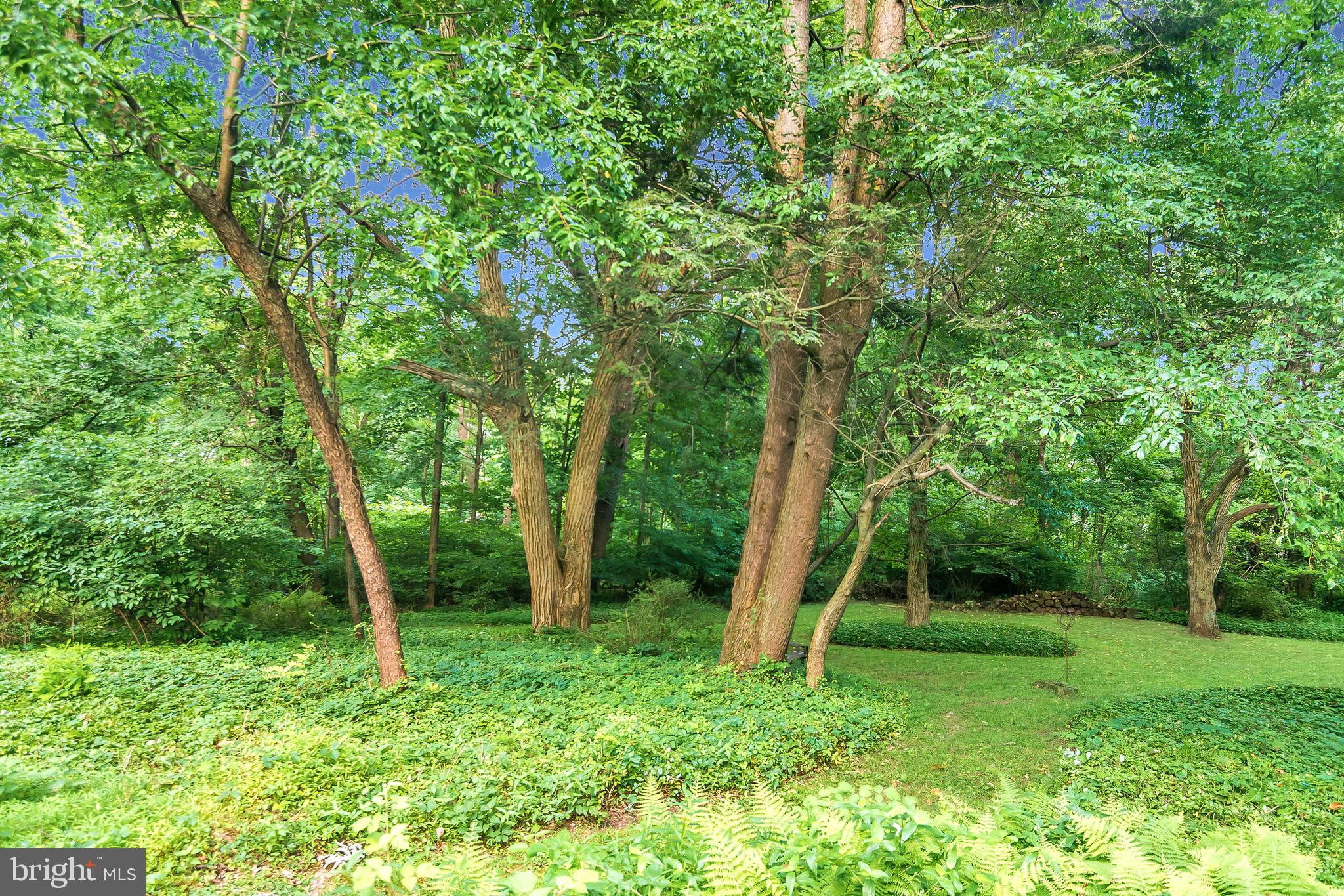 4850 Anderson Road Doylestown, PA 18902 - Photo 23 of 26 Gallery Image 23