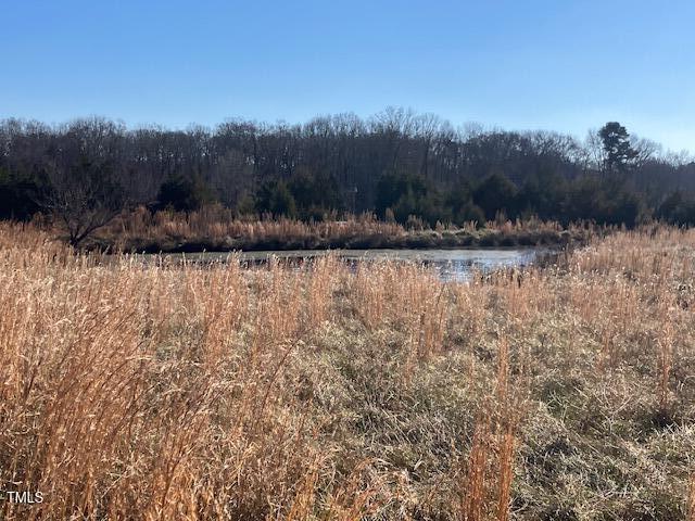 512 Bacon Road Rougemont, NC 27572 - Photo 3 of 4 IMG_3197