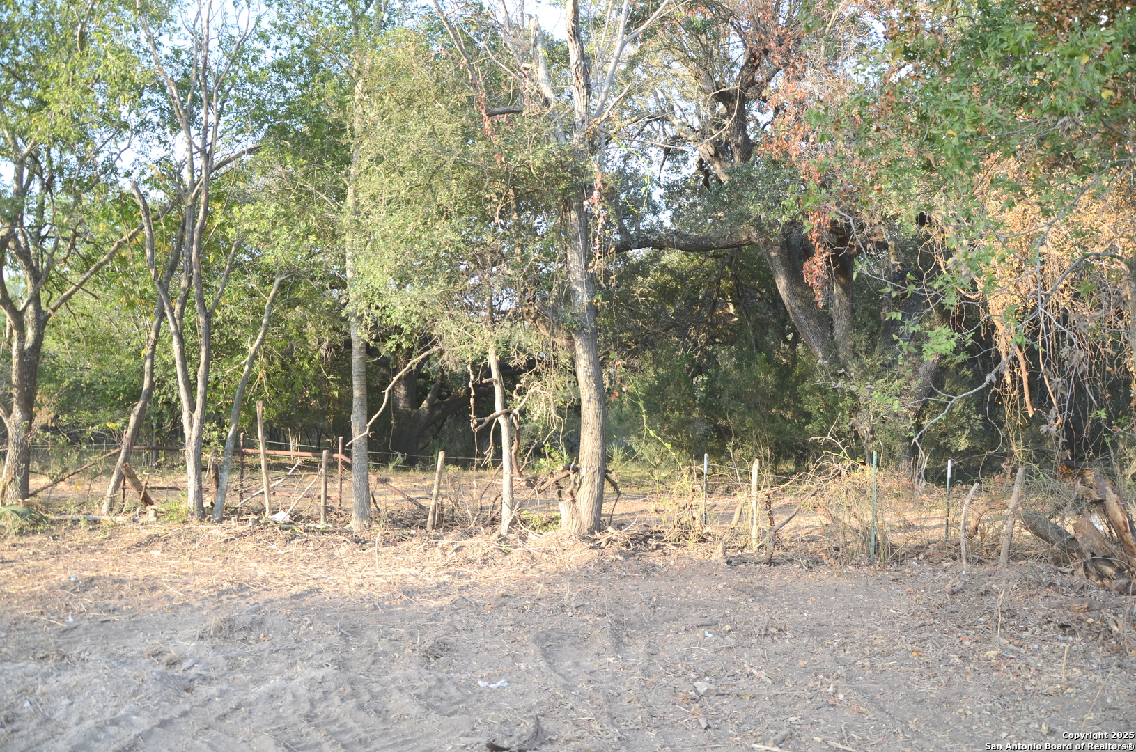 a view of outdoor space with trees