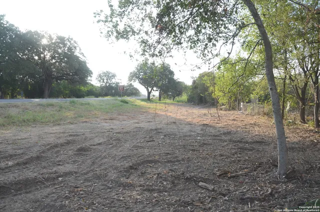 a view of a field with trees in the background