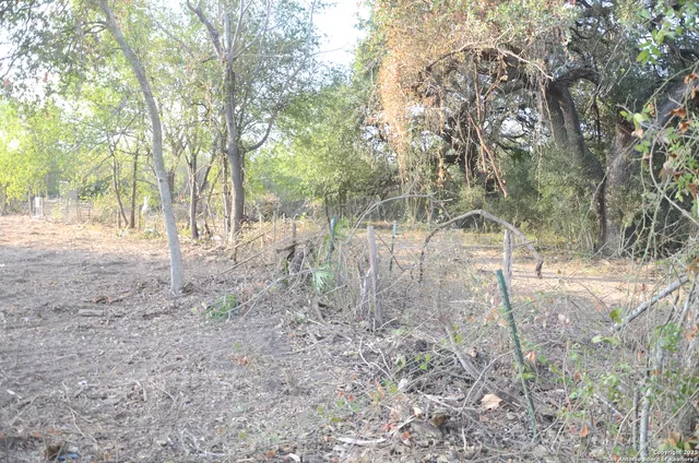 a view of a yard with trees