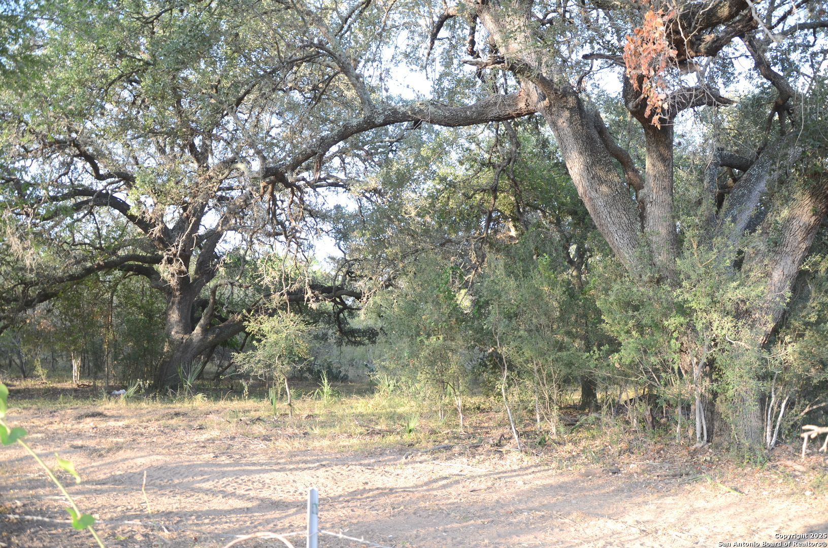 Tbd Highway 173 Devine, TX 78016 - Photo 5 of 5 a view of a yard with a tree