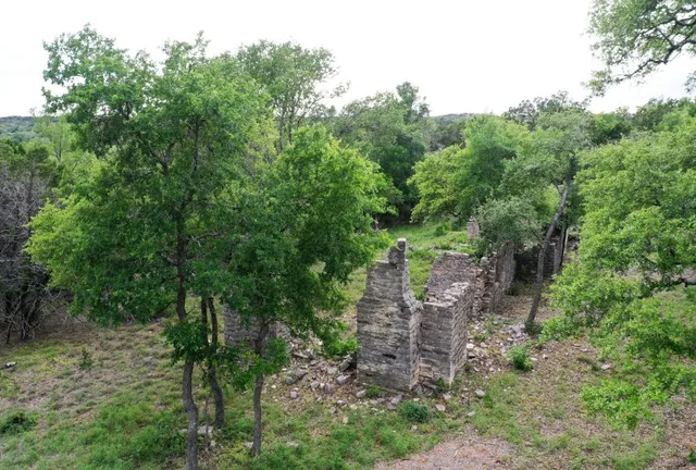 a big yard with lots of green space and deers