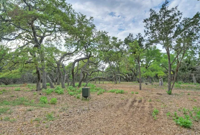 a view of outdoor space with trees