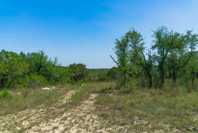 a view of a lush green space