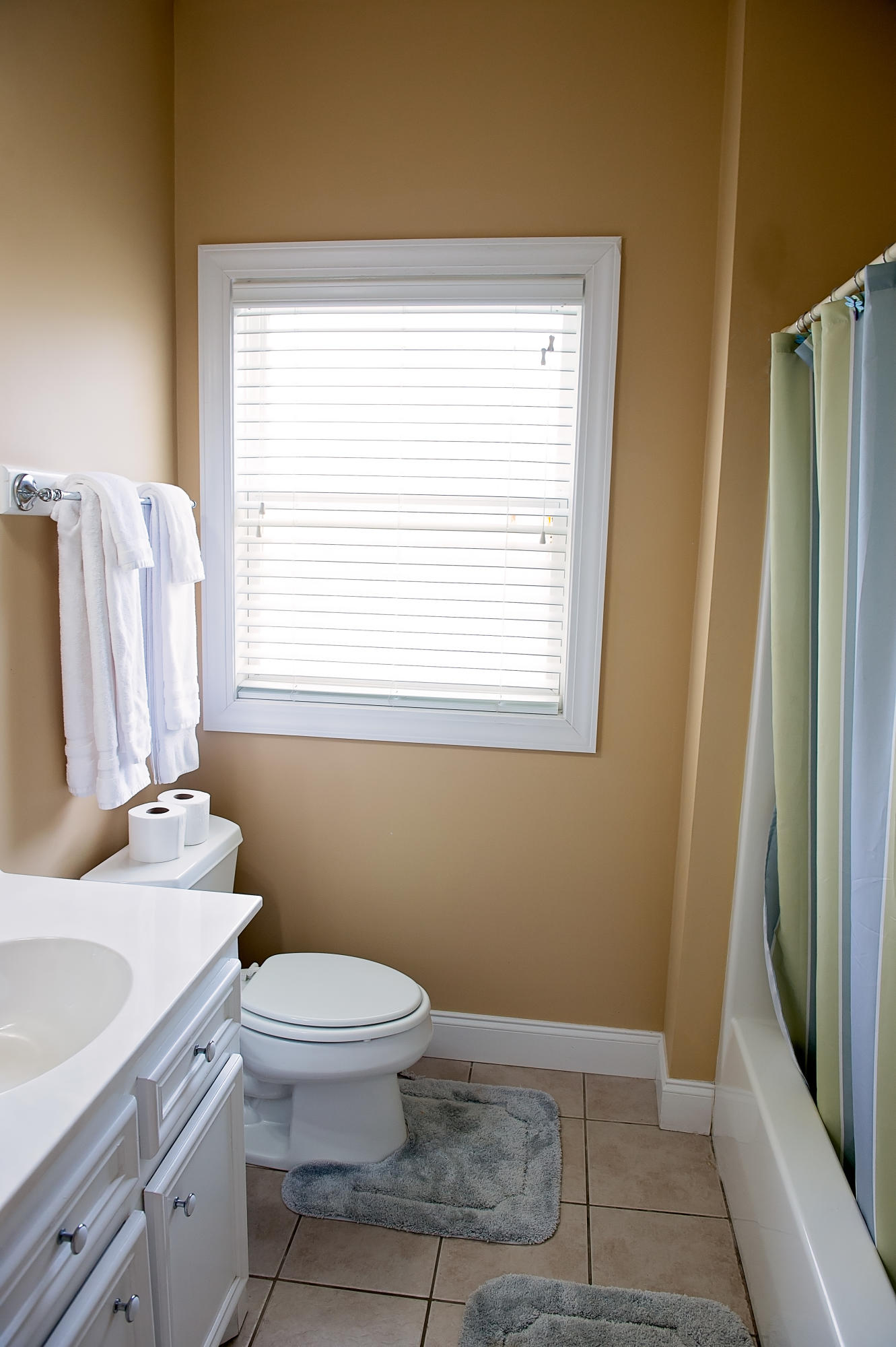 1002 Churchill Road Moncks Corner, SC 29461 - Photo 16 of 21 bathroom 2