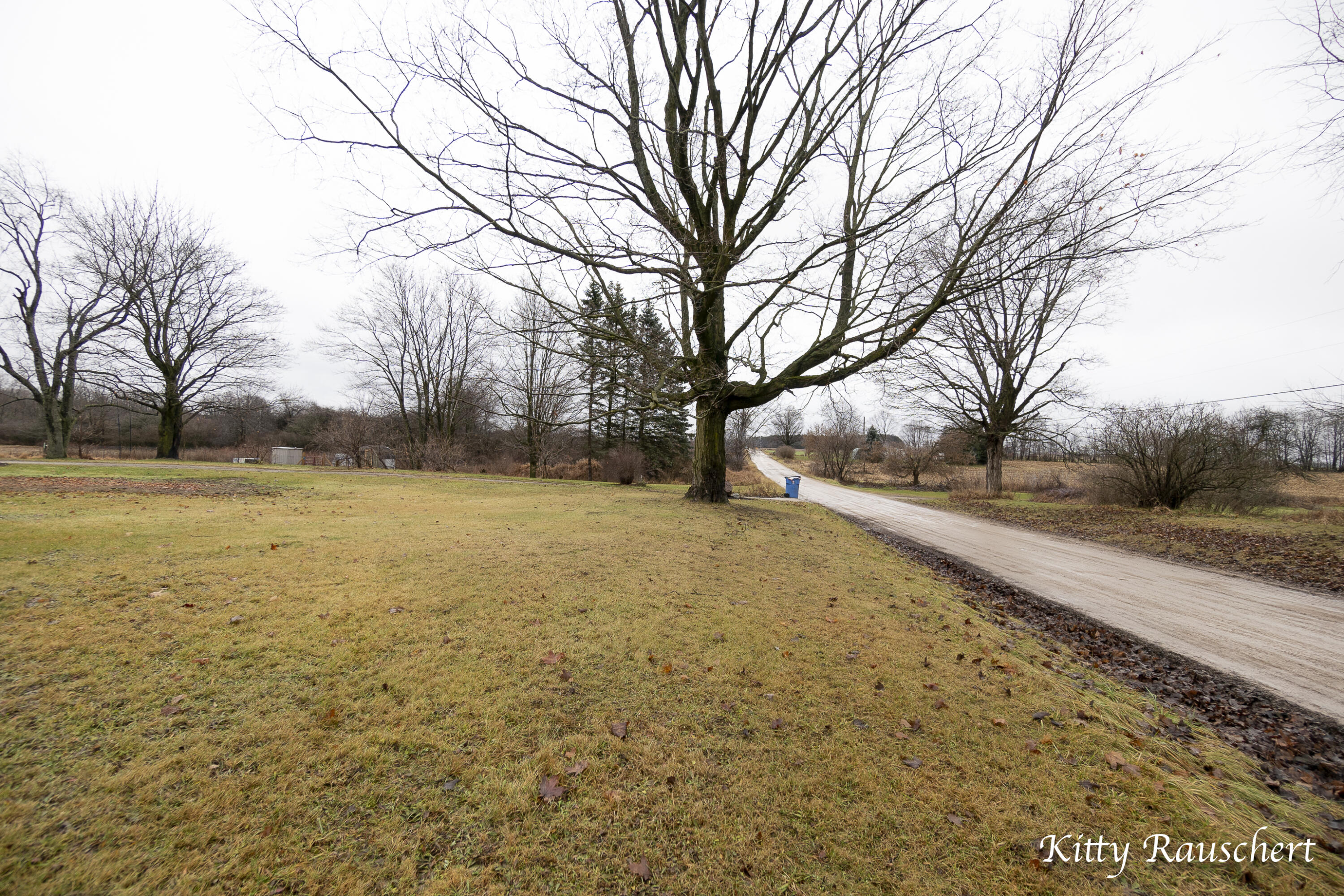 11300 Paris Road Morley, MI 49336 - Photo 51 of 74 11300 Paris Ave-50