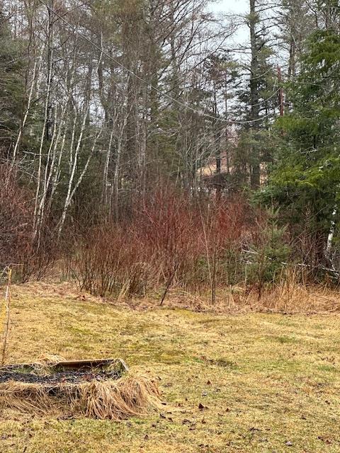 932 Tibbetstown Road Cherryfield, ME 04622 - Photo 21 of 22 IMG_0296
