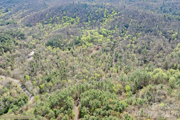 $1,950,000 | 716 Peppervine Circle, Rosman, NC 28772