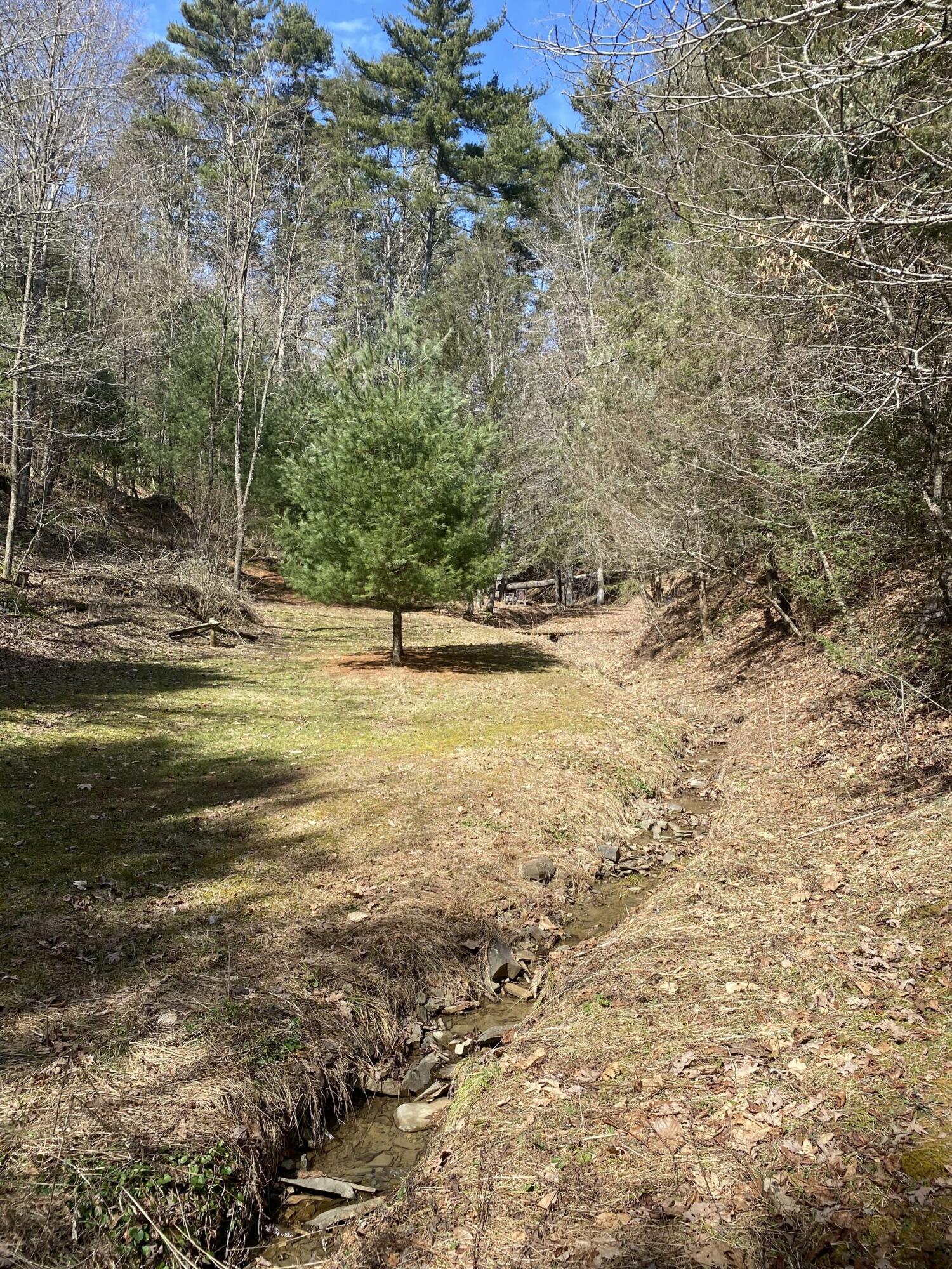 85 Green Acres Road Marlinton, WV 24954 - Photo 76 of 85 Gallery Image 76