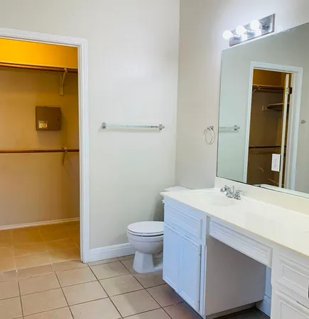 a bathroom with a sink a toilet and mirror
