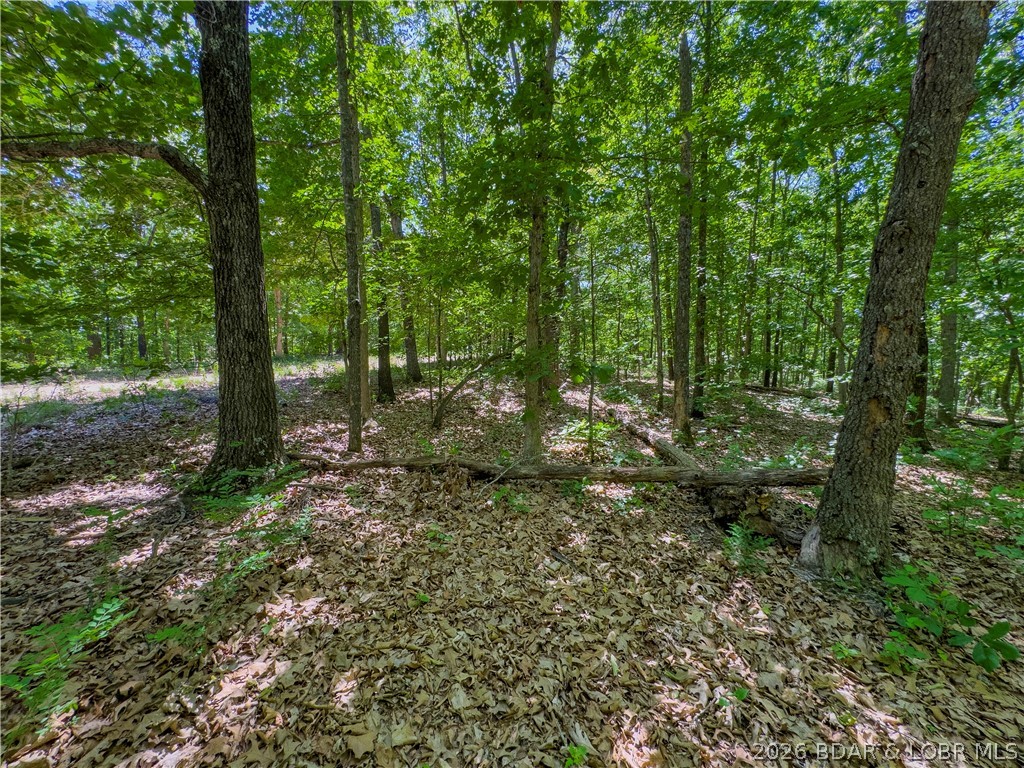 Valley Spring Road Camdenton, MO 65020 - Photo 3 of 19 Level Acreage